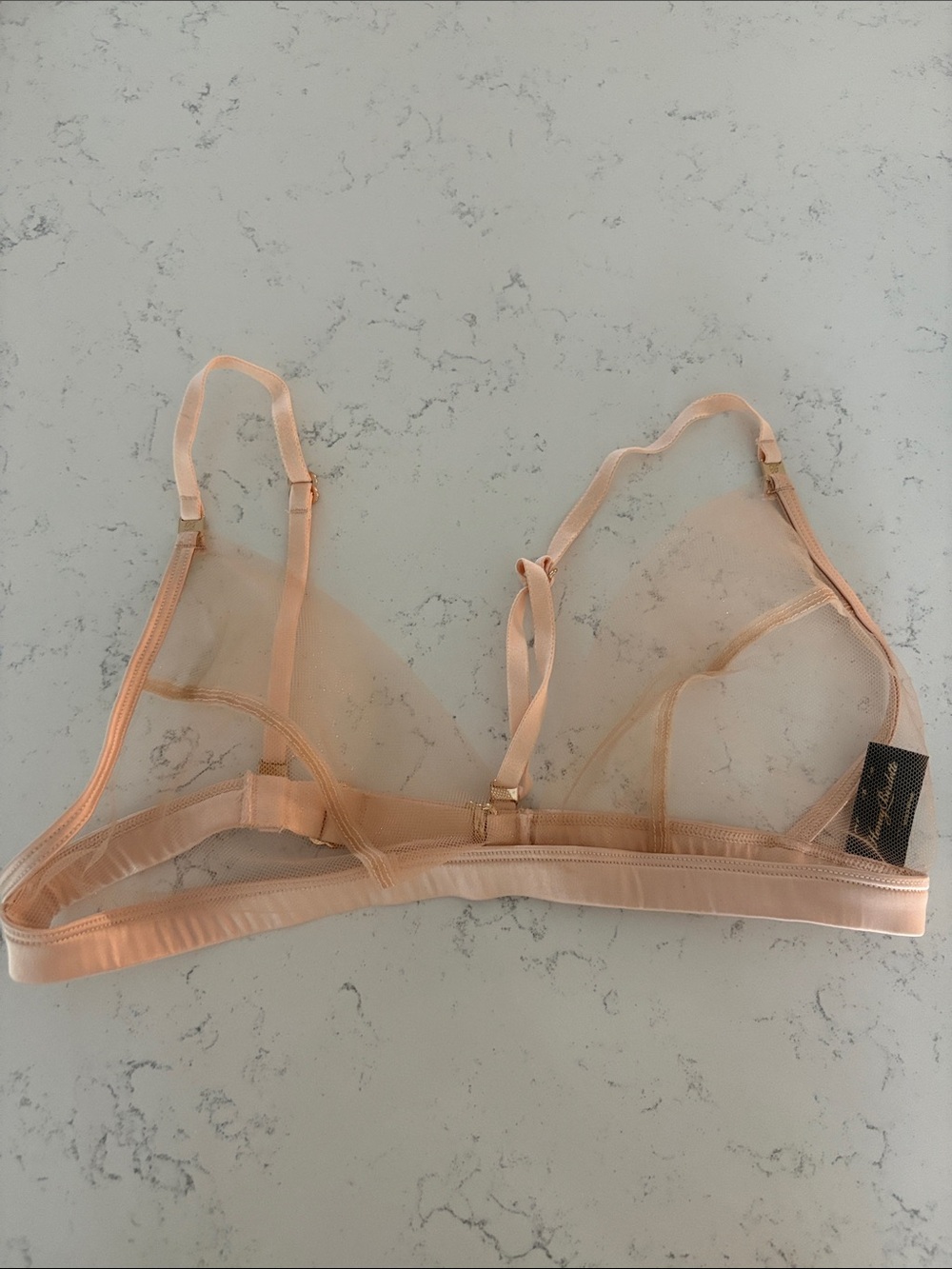 Honey Birdette Sheer Triangle Bralette in Nude Peach